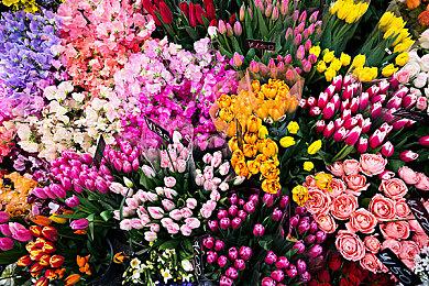 《光环：无限》熔炉模式预告 5代地图大小2倍